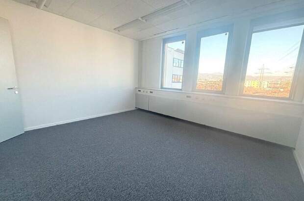 Gewerbeobjekt mieten in 2351 Wiener Neudorf (Bild 3)