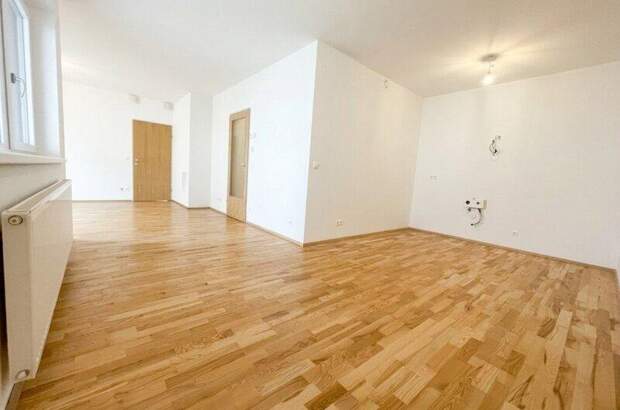 Terrassenwohnung mieten in 3250 Wieselburg (Bild 3)