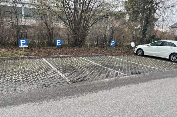 Halle / Lager / Produktion kaufen in 4600 Wels (Bild 4)