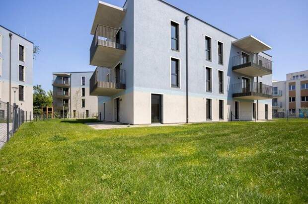 Terrassenwohnung kaufen in 2700 Wr. Neustadt (Bild 5)