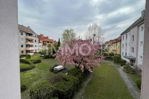 Terrassenwohnung kaufen in 2100 Korneuburg (Bild 3)