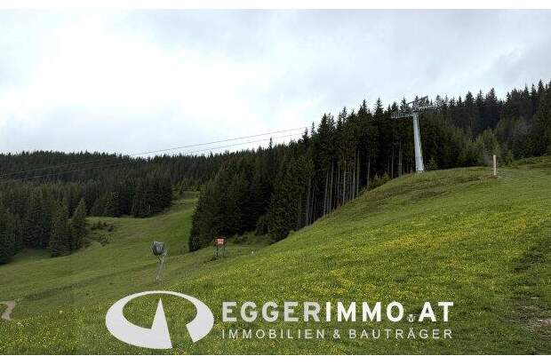 Gastronomie / Restaurant kaufen in 5753 Saalbach (Bild 4)
