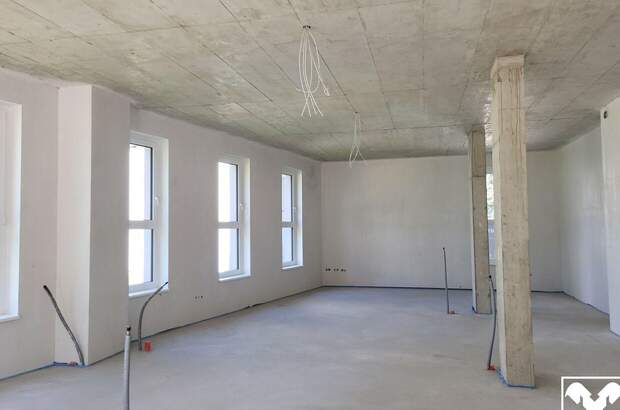 Gewerbeobjekt mieten in 4063 Hörsching (Bild 3)