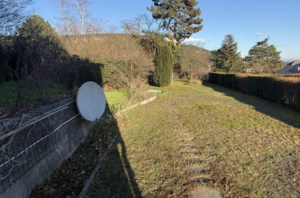 Haus kaufen in 2752 Wöllersdorf (Bild 4)