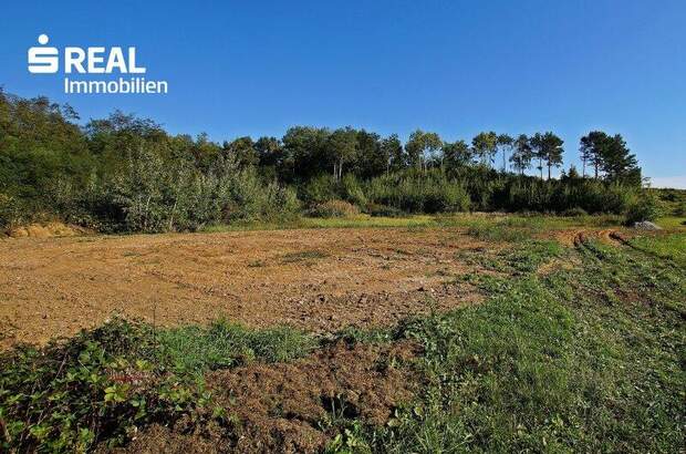 Grundstück kaufen in 7503 Großpetersdorf