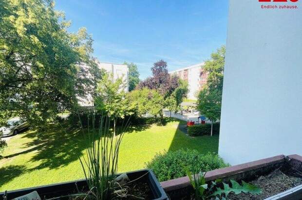 Terrassenwohnung mieten in 4020 Linz (Bild 1)