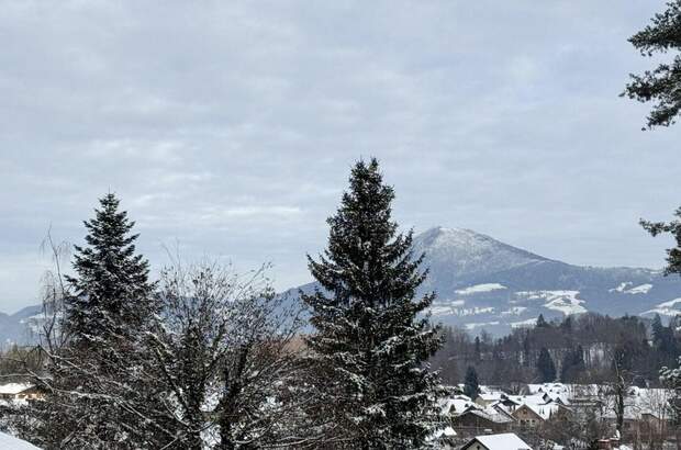 Wohnung mit Balkon kaufen in 5082 Grödig (Bild 2)