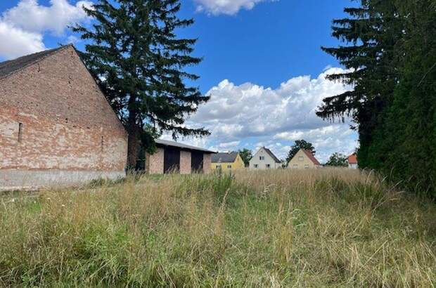 Grundstück kaufen in 2263 Dürnkrut (Bild 2)