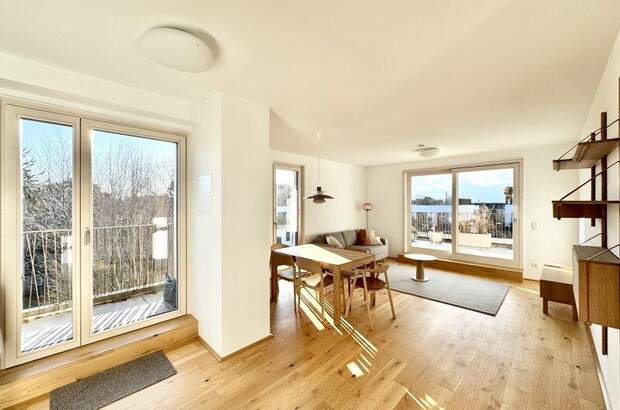 Terrassenwohnung mieten in 1190 Wien (Bild 1)