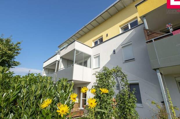 Mietwohnung in 4690 Rüstorf (Bild 1)