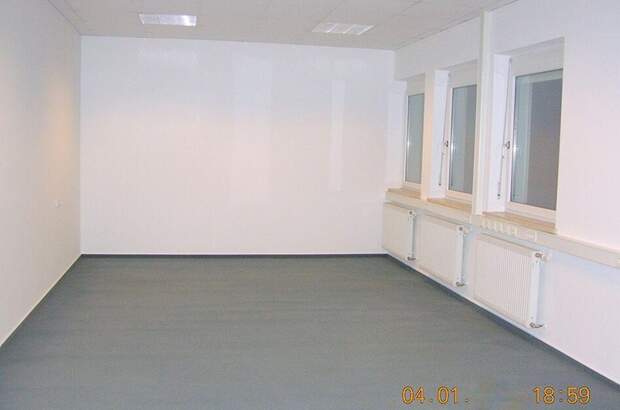 Gewerbeobjekt mieten in 8073 Feldkirchen (Bild 2)