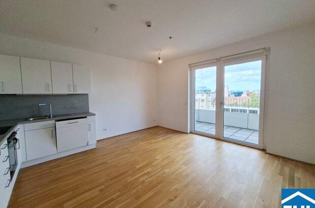 Terrassenwohnung mieten in 1020 Wien (Bild 1)