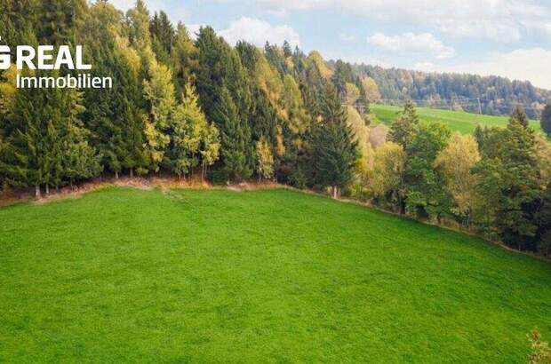Grundstück kaufen in 8954 St. Martin (Bild 3)