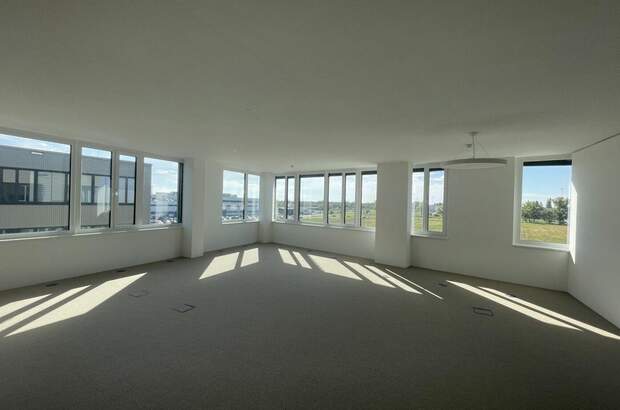 Gewerbeobjekt mieten in 1220 Wien (Bild 5)