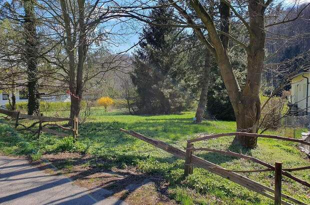 Grundstück kaufen in 3400 Maria Gugging (Bild 3)