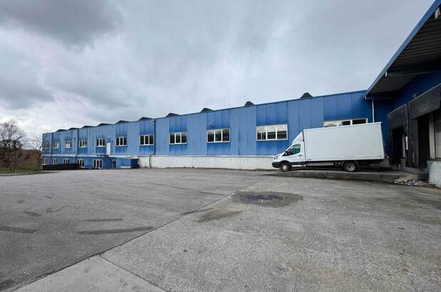 Gewerbeobjekt mieten in 4622 Eggendorf (Bild 3)