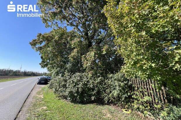 Grundstück kaufen in 2230 Gänserndorf (Bild 4)