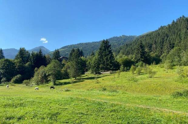 Grundstück kaufen in 8953 Donnersbachwald (Bild 1)