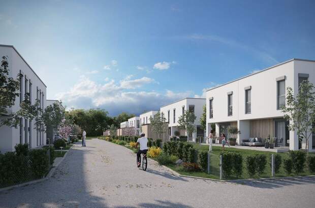 Haus kaufen in 4481 Raffelstetten (Bild 3)