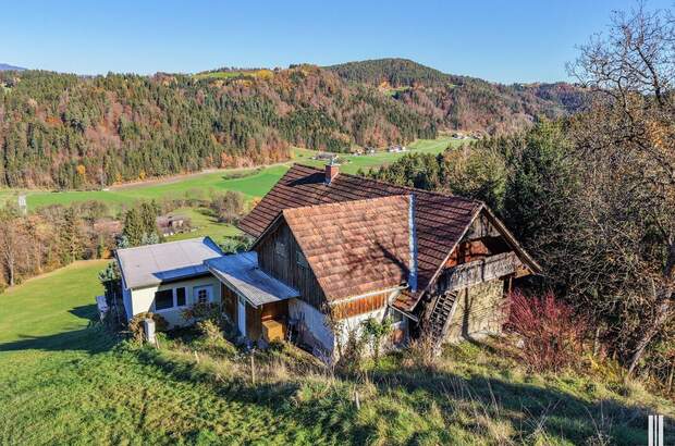 Gewerbeobjekt kaufen in 8570 Kleinwöllmiß (Bild 4)