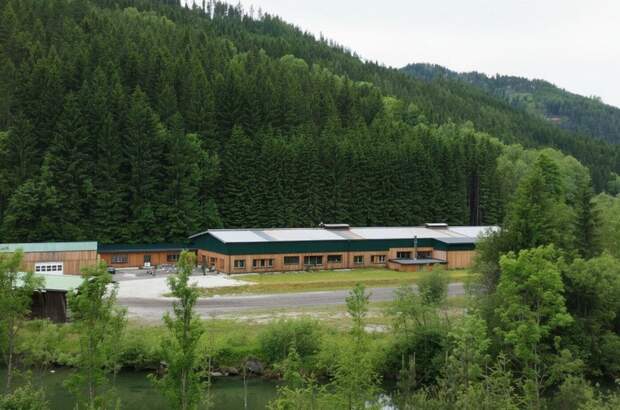 Gewerbeobjekt kaufen in 8680 Mürzzuschlag (Bild 5)