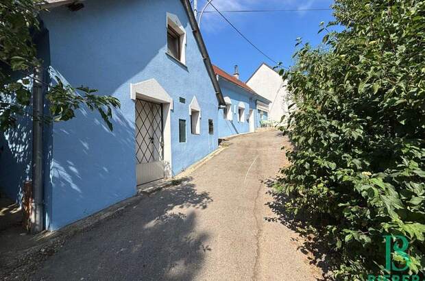 Haus mit Garten mieten in 2276 Katzelsdorf (Bild 1)