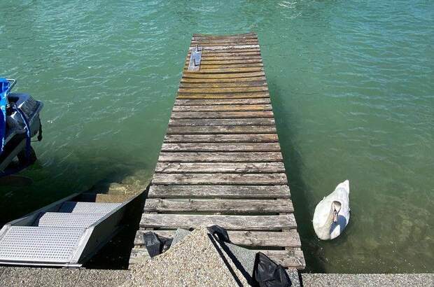 Einfamilienhaus kaufen in 2491 Neufeld (Bild 4)