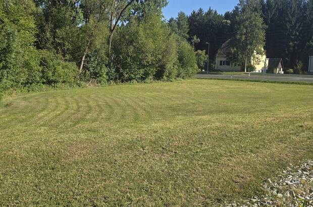 Grundstück kaufen in 8292 Neudau (Bild 3)