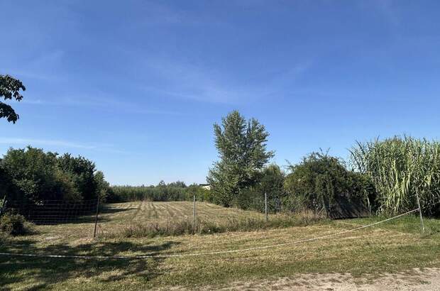 Grundstück kaufen in 7100 Neusiedl (Bild 3)