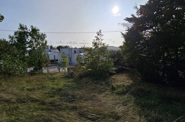 Grundstück kaufen in 4040 Linz (Bild 4)