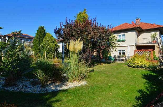 Haus kaufen in 2630 Ternitz (Bild 1)