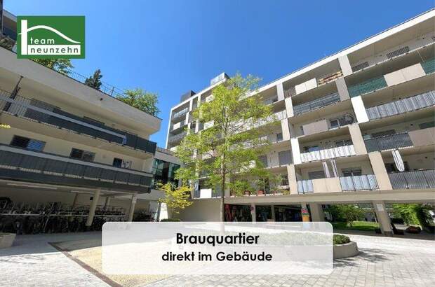 Terrassenwohnung mieten in 8055 Graz (Bild 5)