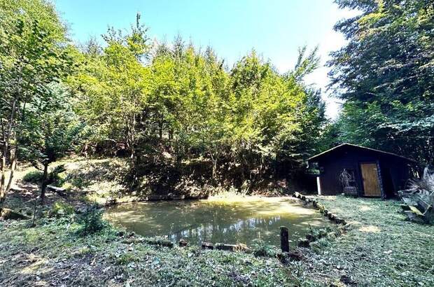 Gewerbeobjekt kaufen in 8462 Gamlitz (Bild 2)