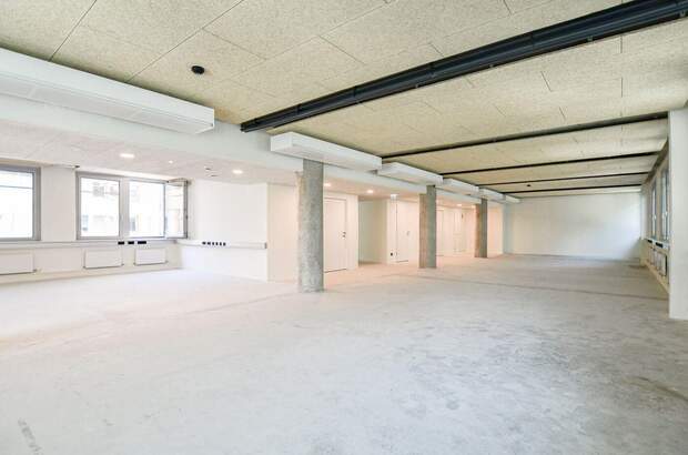 Gewerbeobjekt mieten in 1020 Wien (Bild 3)