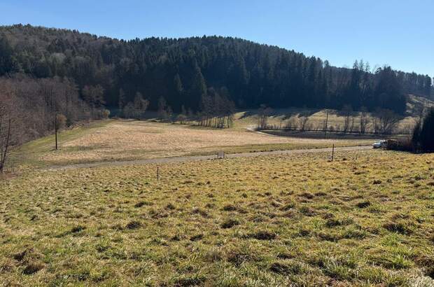 Grundstück kaufen in 8302 Edelsgrub (Bild 1)