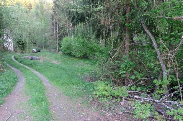 Grundstück kaufen in 4121 Altenfelden (Bild 4)