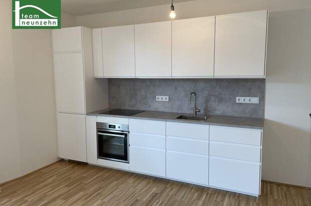 Terrassenwohnung mieten in 1230 Wien (Bild 4)