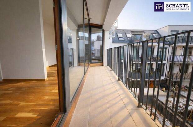 Terrassenwohnung mieten in 1230 Wien (Bild 1)