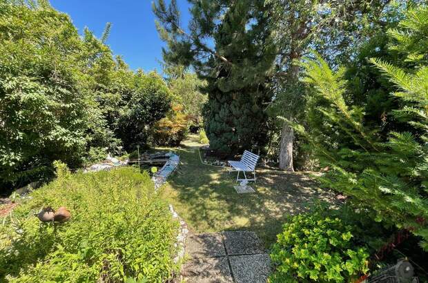 Einfamilienhaus kaufen in 2512 Tribuswinkel