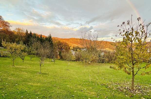 Grundstück kaufen in 4221 Steyregg