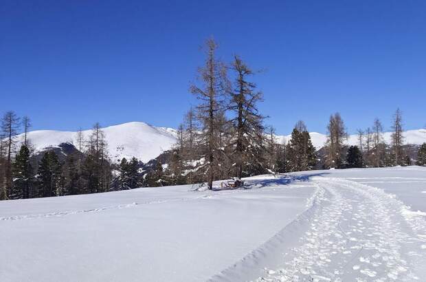 Wohnung kaufen in 9571 Sirnitz (Bild 5)