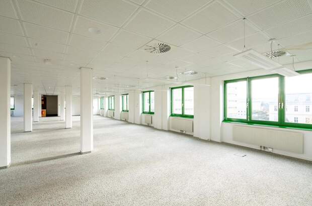 Gewerbeobjekt mieten in 1220 Wien (Bild 4)