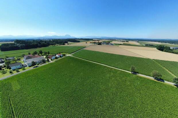 Gewerbeobjekt kaufen in 4654 Bad Wimsbach (Bild 5)