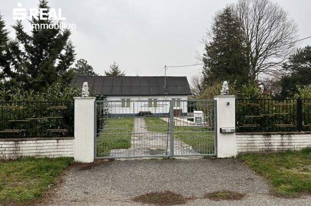 Grundstück kaufen in 1220 Wien (Bild 3)