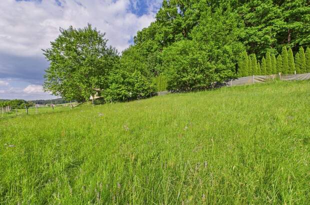 Grundstück kaufen in 8230 Eggendorf (Bild 4)