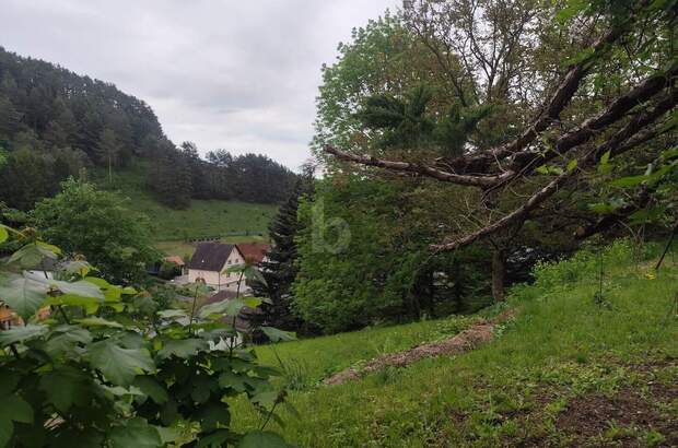 Einfamilienhaus kaufen in 2860 Kirchschlag (Bild 2)