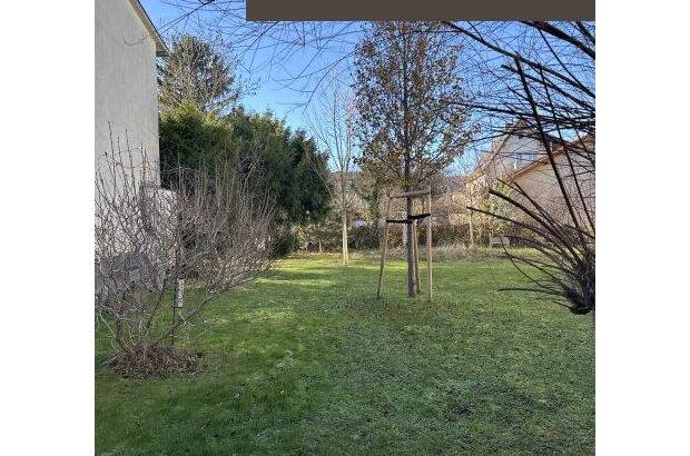 Terrassenwohnung mieten in 2340 Mödling (Bild 1)