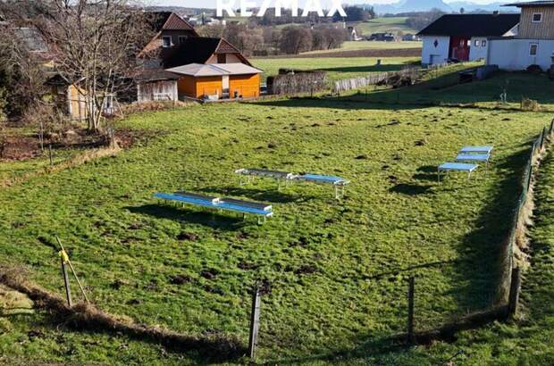 Grundstück kaufen in 4842 Zell (Bild 4)