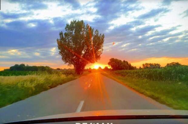 Grundstück kaufen (Bild 3)