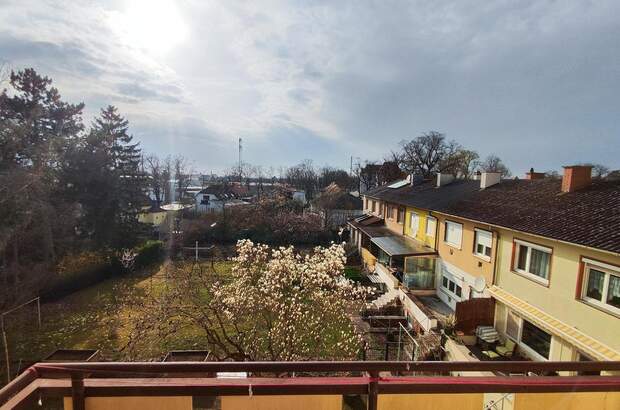 Terrassenwohnung mieten in 2000 Stockerau (Bild 1)